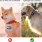 My Tracker Silicone AirTag Dog Collar Holder