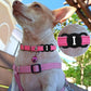 My Tracker Silicone AirTag Dog Collar Holder